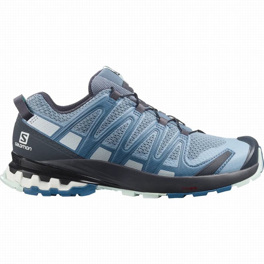 Salomon Xa Pro 3d V8 Trail Löparskor Dam Blå [VNS1135MU]